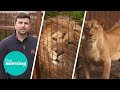 Real Life Lion King: 'I Have Two Lions, A Puma & 27 Monkeys in My Back Garden' | This Morning