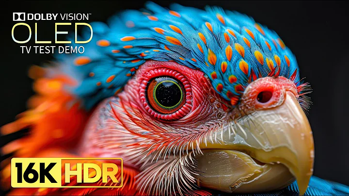 Cool and Stunning 16K Video ULTRA HD 120fps | 16K HDR Dolby Vision (8K/4K TV)