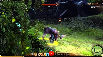 Guild Wars2 Beta-Norn Thief Starting Area Issonmir Part 2