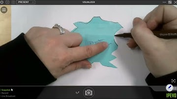 Translation Tessellation