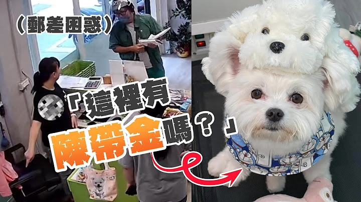 郵差困惑「這裡有陳帶金？」小白汪衝出去簽收：我啦！｜寵物動物｜精選影片
