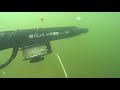 Подводная охота в мутной воде с коротким ружьем