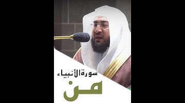 ﴿وَهذا ذِكرٌ مُبارَكٌ أَنزَلناهُ أَفَأَنتُم لَهُ مُنكِرونَ﴾ من سورة الأنبياء للشيخ بندر بليله 🤍..