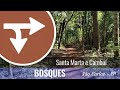 Bosque santa marta e bosque cambu  so carlossp