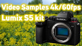 Камера Panasonic DC-S5 kit Video Samples 4K 60fps