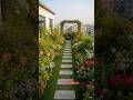 A beautiful rooftop garden in Bangladesh #greenrooftop #gardenflower #gardening #mangovarieties