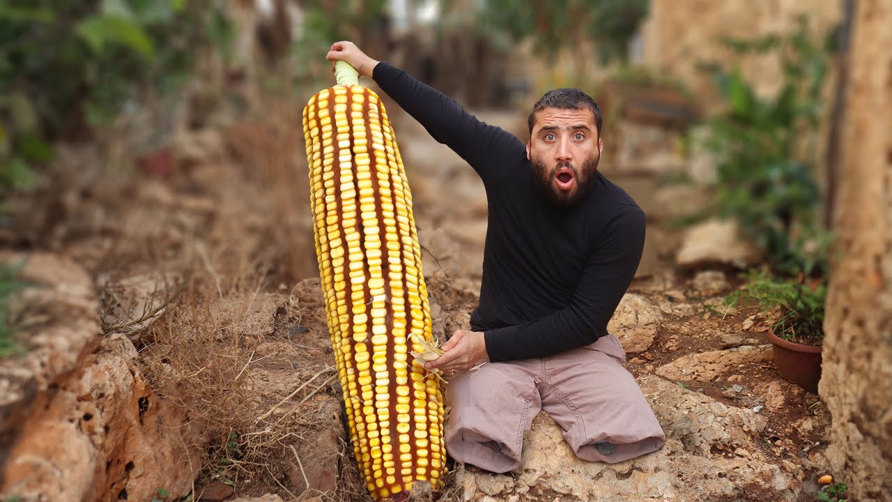 صعوبت طبخ حبات الذرة العملاقة وكشف سر أجدادي في جبال القرية #الريف_السوري #روتيني_اليومي