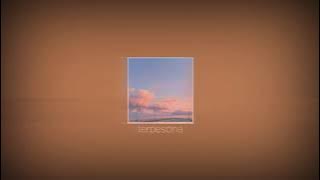 Terpesona [feat.bulan sutena] • Gustixa remix