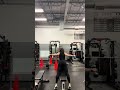 Chest Support DB Chest Flies