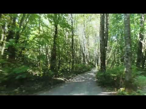 2615 Northwest Hayes Road, Woodland, WA home video tour