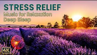 Relaxing Music | Stop Overthinking & Stress Relief | Deep Sleep & Calming Music for Relaxation🌙 4K
