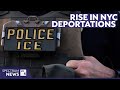NYC ICE arrests under Trump's return already top 2024, data shows