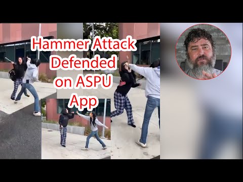 Great Pepper Spray Use Caught on Camera