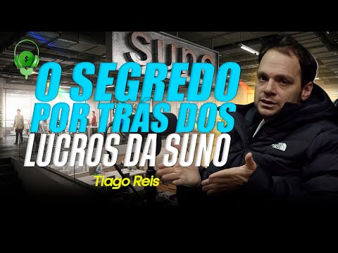INCRÍVEL: Como a SUNO TRANSFORMA investimentos em EMPRESAS de SUCESSO! VEJA AGORA