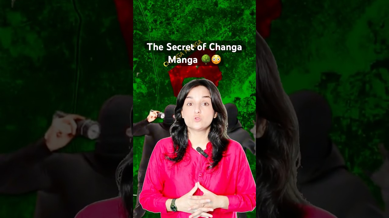 🌳 Changa Manga Forest – Pakistan’s Largest Man-Made Forest 🌳 