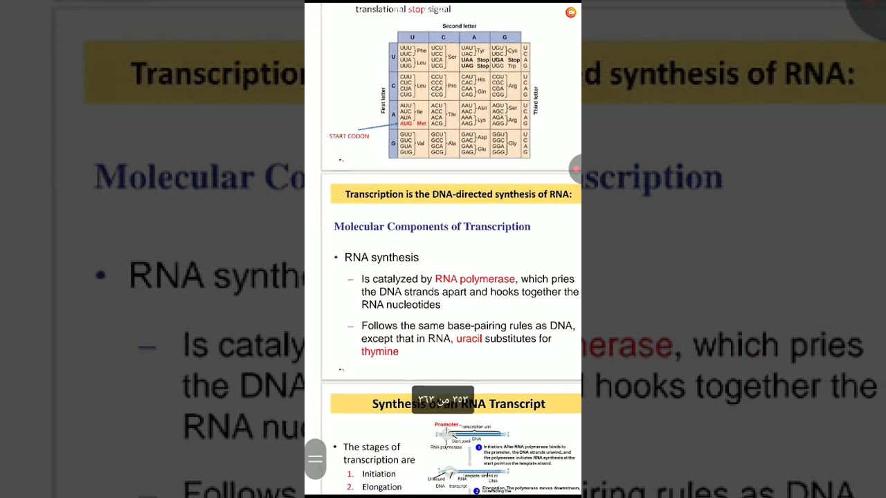 ٥ مارس، ٢٠٢٦