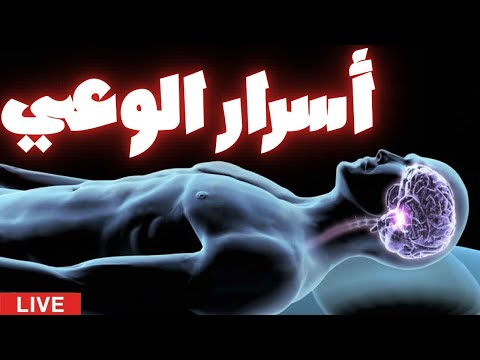 ماذا يحدث للوعي عندما نموت هل نمتلك إرادة حرة حق ا