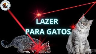 Video para #gatos | #lazer