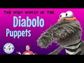 LIVE! The Wild World of the Diabolo Puppets!