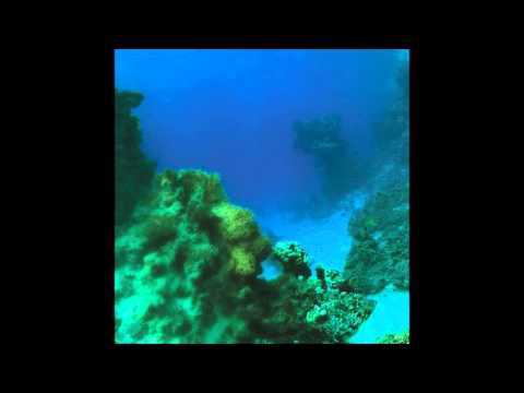 Tiny Fingers — Tiny Fingers - The Fall / Eyes Of Gold / Traveller Soul