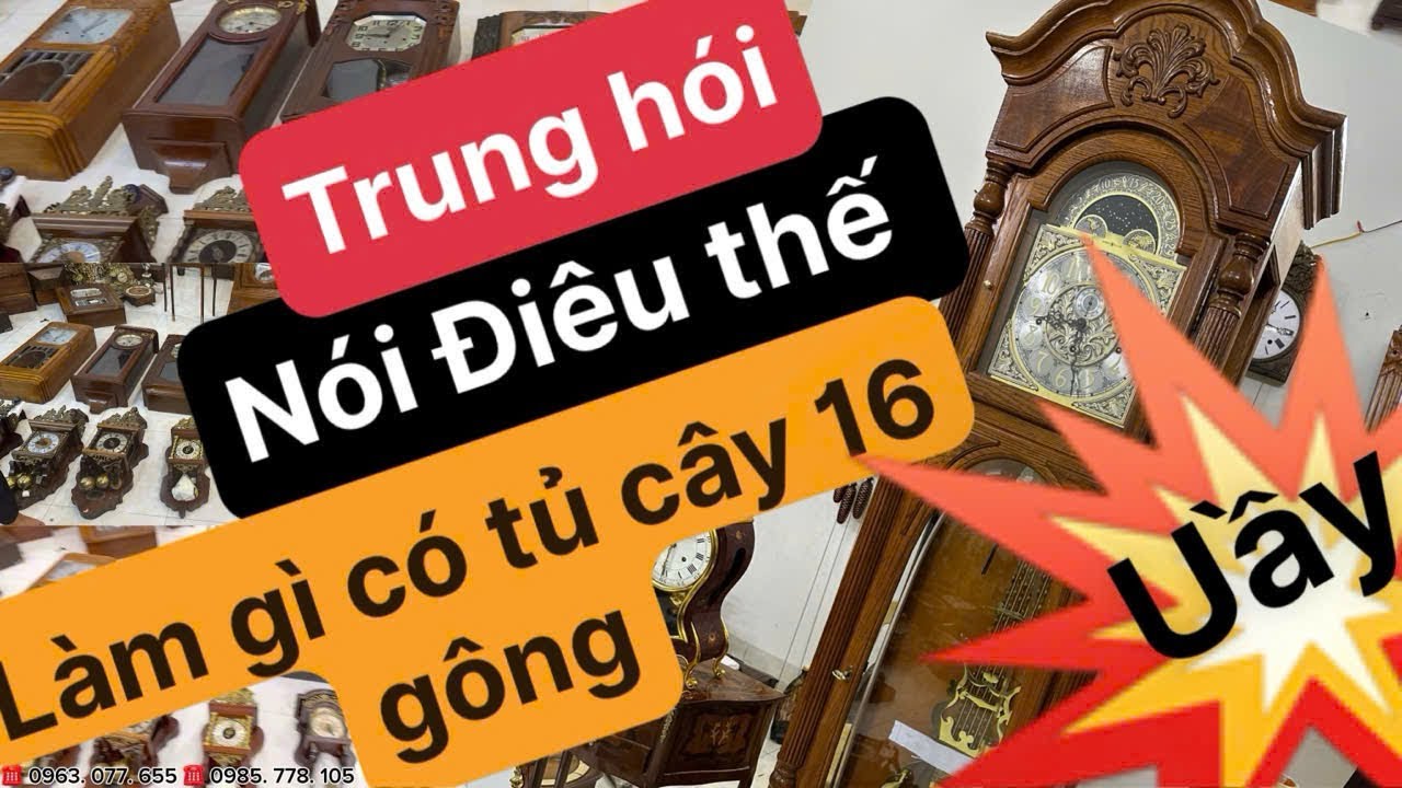 Trung hói đồ âu châu toàn săn lùng đồng hồ hiếm..