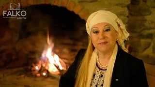 Ünlü Sanatçi Bedi̇a Akartürk Falko 2015 Mesaji