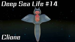 UNITY ASSET : DEEP SEA LIFE #14 Clione  /  UNITYアセット 深海生物シリーズ14 クリオネ