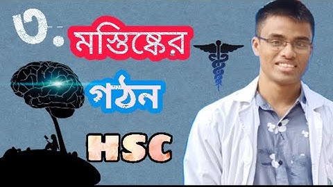 ব্রেইন পর্ব০৩,মস্তিষ্ক এর গঠন,সমন্বয় ও নিয়ন্ত্রণ,৮ম অধ্যায় zoology chapter 8 lecture 1 part3