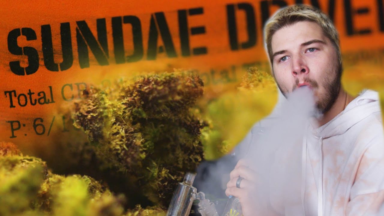 Smoking Sundae Driver by Farmer and The Felon (Weed Strain Review)