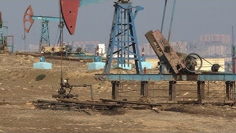 Seals, caviar and oil: Caspian Sea under threat from pollution