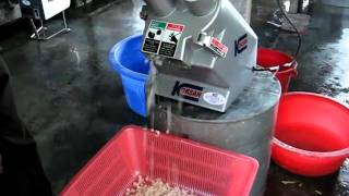 vege cutter.AVI