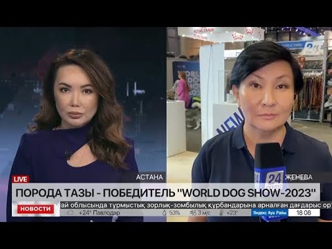 Порода тазы стала победителем на World Dog Show 2023