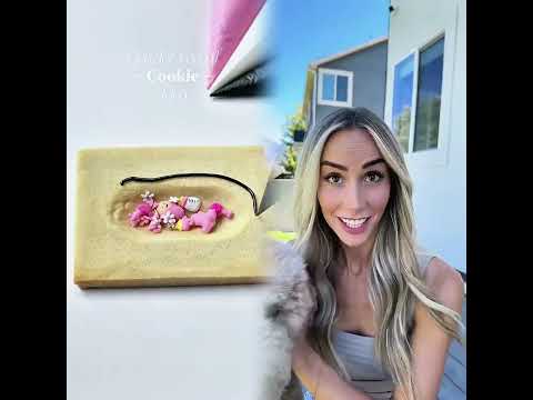 Dog Owner 101 Dogsoftiktok Dogs Dogcomedy Relatable