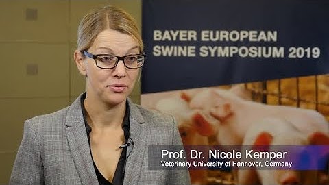 Piglet wellbeing in the farrowing pen - Pro Dr Nicole Kemper