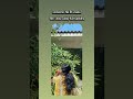 Insta trending reel, CodeCrunch