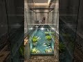 DIY Indoor Fish Pond Under Glass Floor — Build Transformation