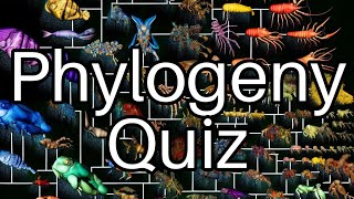 Test Your Knowledge: Dive into the World of Phylogeny! 🌳🧬