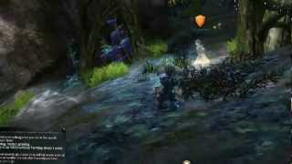 Guild Wars 2 - Aurora's Remains White Mantle Hidden Group Event Guild Wars 2 - Aurora's Remains White Mantle Hidden Group Event