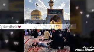 Ali Fani-Ya Rza Mövla Mövla