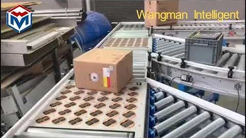 Intelligent Sorting Conveyor System/Roller Conveyor System