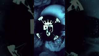 Funk Selvagem Ultra Slowed