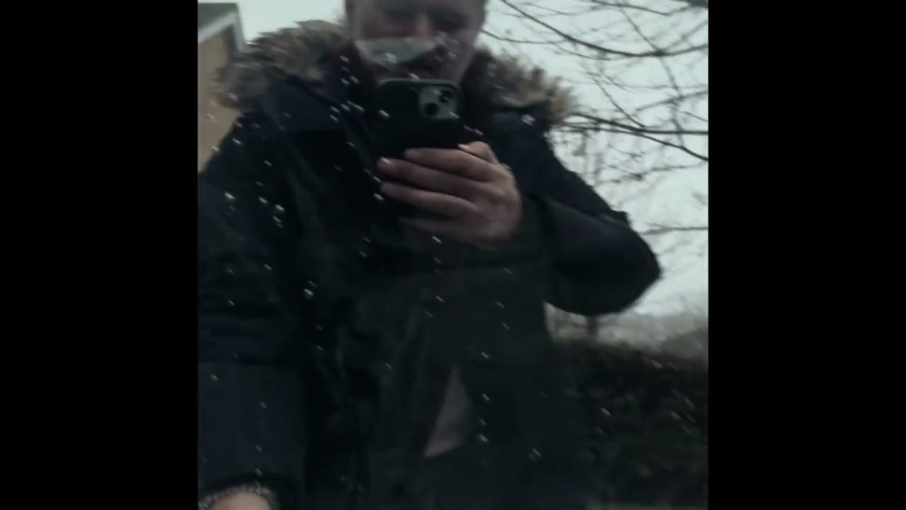 Tesla Model 3 Window Mechanism Removal/ Replacement