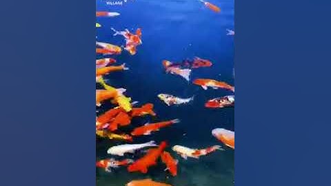 ماشاء الله تبارك الله القرآن الكريم بصوت جميل جدا