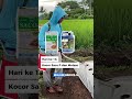 Masih Percaya Lahan Janda Cukup Disiram Air? Itu Kesalahan Fatal