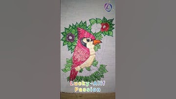 Stripped buttonhole stitch||LUCKY-ALIF PASSION