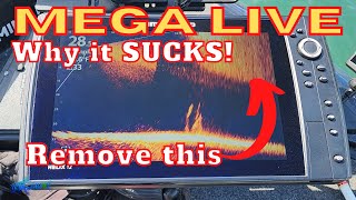 Screen clarity SUCKS! BEST Mega Live Settings How to Remove ALL interference! Pollen Settings