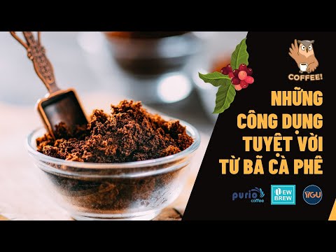 Bã cà phê