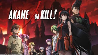 Akame Ga Kill [AMV] - No Reason by Sum 41