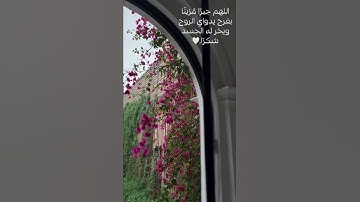 القرآن الكريم🤍 ( وَأَيُّوبَ إِذْ نَادَىٰ رَبَّهُ أَنِّي مَسَّنِيَ الضُّرُّ )   #quran  #راحة_نفسية