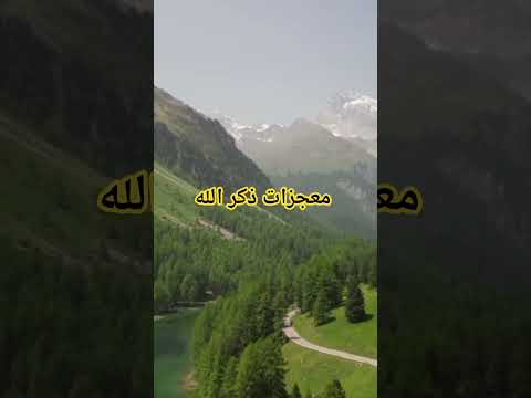 فضائل ذكر الله ثمرات القرب من الله